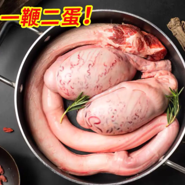 牛鞭牛宝，黄牛鞭，牦牛鞭，牛肉牛蛋蛋，厂家直发。批发