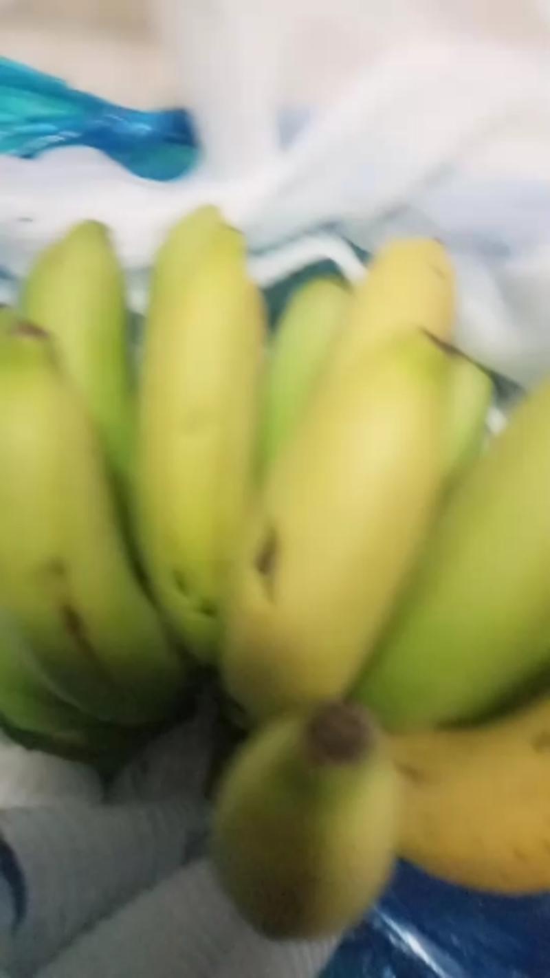 品质优良香糯好吃的大香蕉