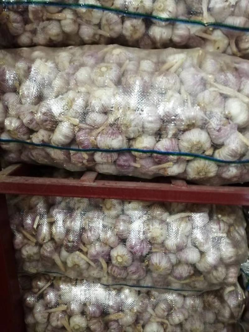 精品红皮大混级精品红皮大混级精品红皮大混级精品红皮大混级