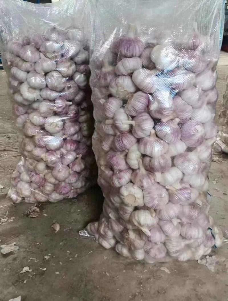 精品红皮大混级精品红皮大混级精品红皮大混级精品红皮大混级