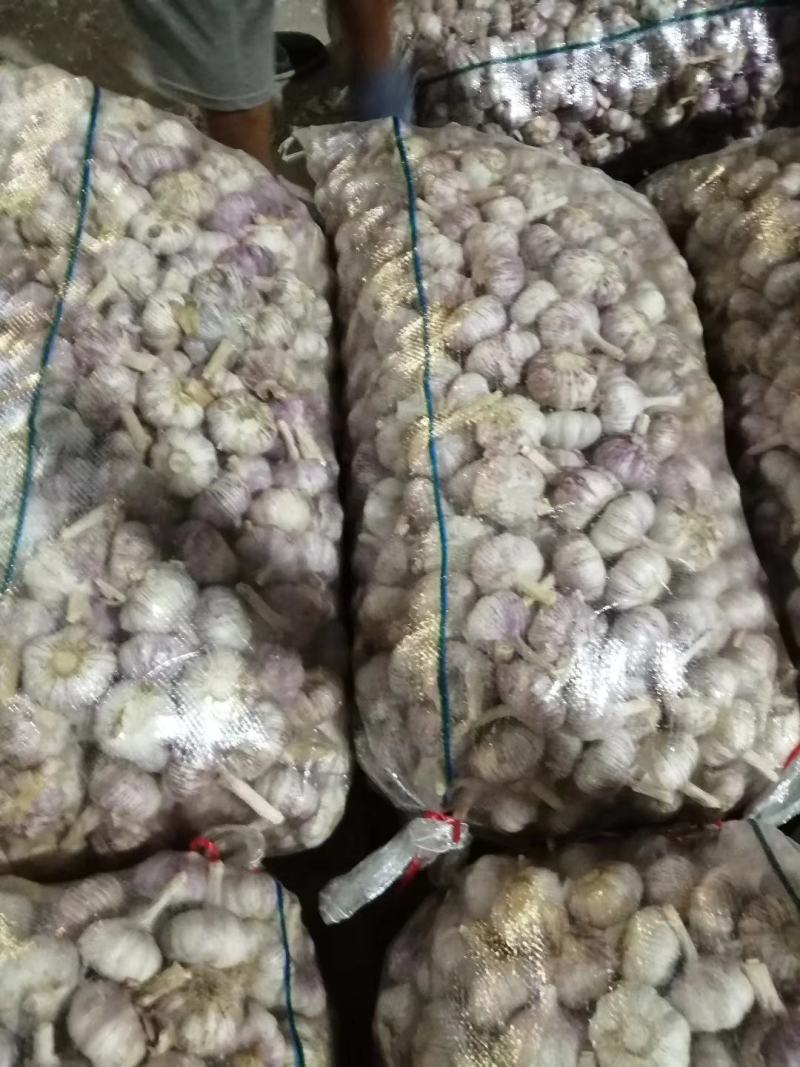 精品红皮大混级精品红皮大混级精品红皮大混级精品红皮大混级
