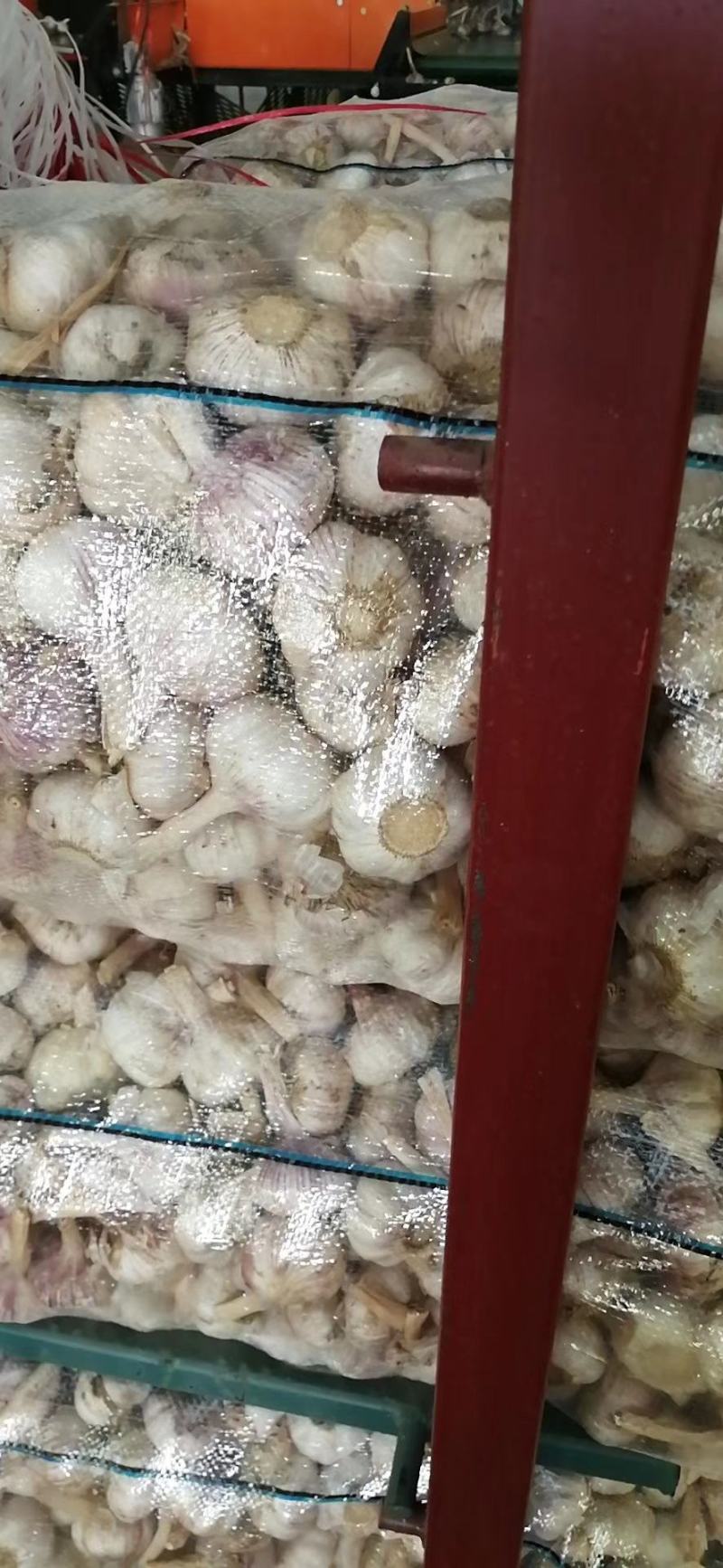 精品红皮大混级精品红皮大混级精品红皮大混级精品红皮大混级