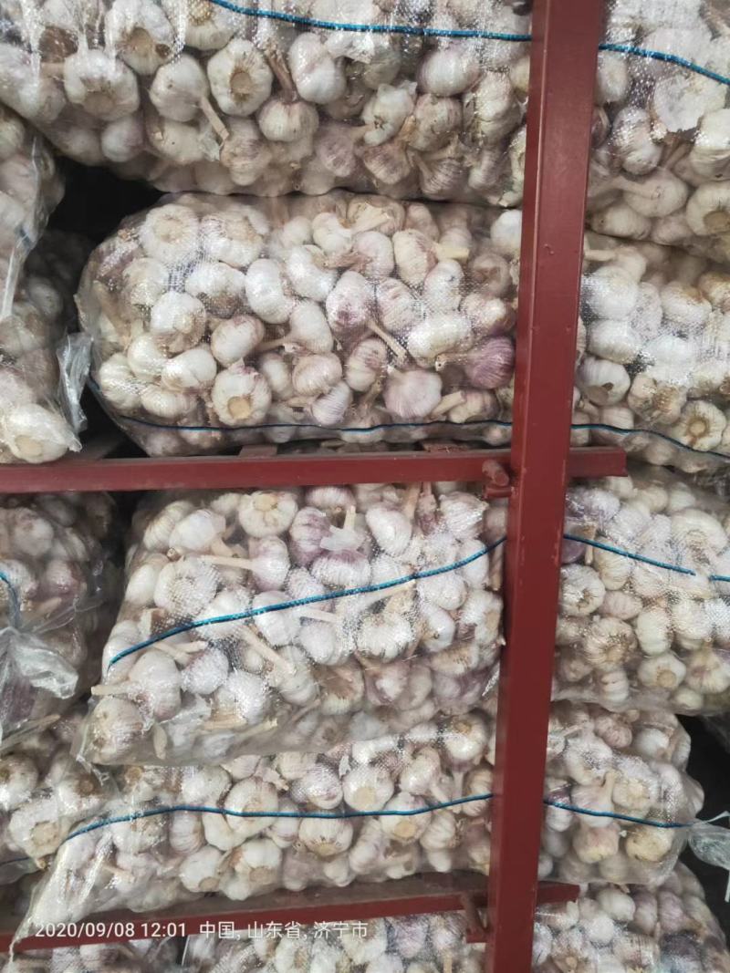 精品红皮大混级精品红皮大混级精品红皮大混级精品红皮大混级