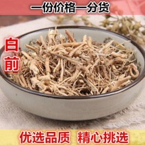 白前白前草500g包邮野生石蓝根水杨