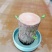 水培巴西木格鲁特水养开花四季常青植物室内花卉