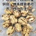 【核桃2025年新货】纸皮185薄皮33幸福大果