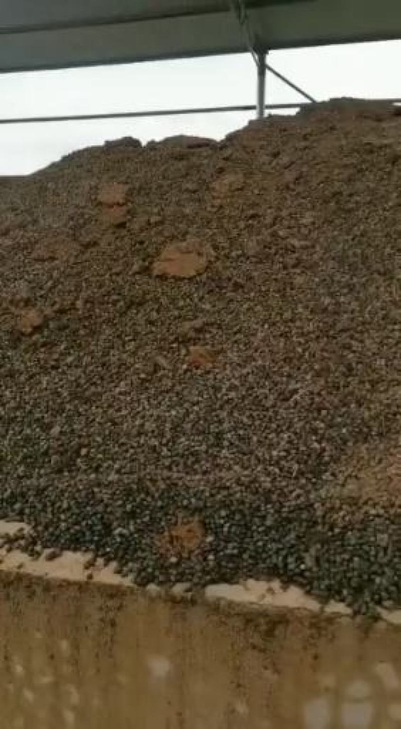 羊粪纯羊粪厂家直销招商开始欢迎实地考察参观