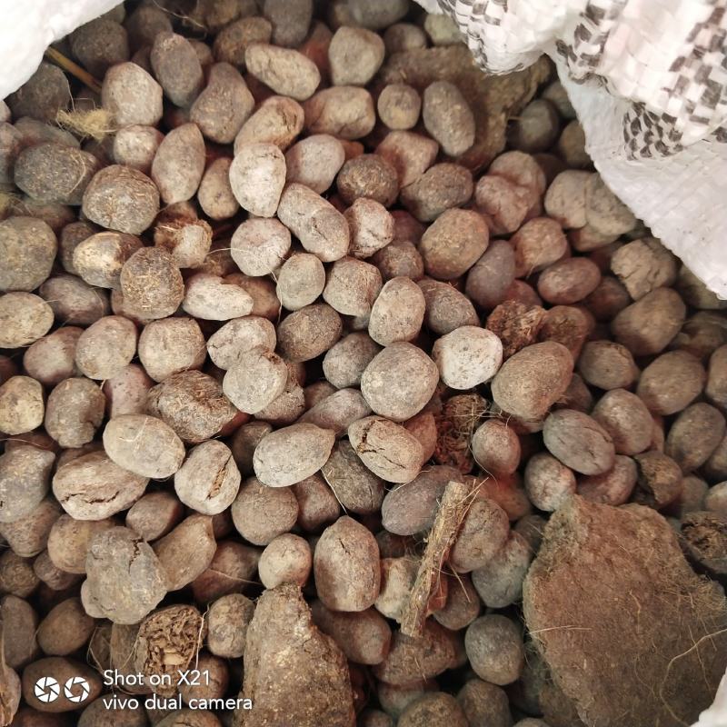 羊粪纯羊粪厂家直销招商开始欢迎实地考察参观