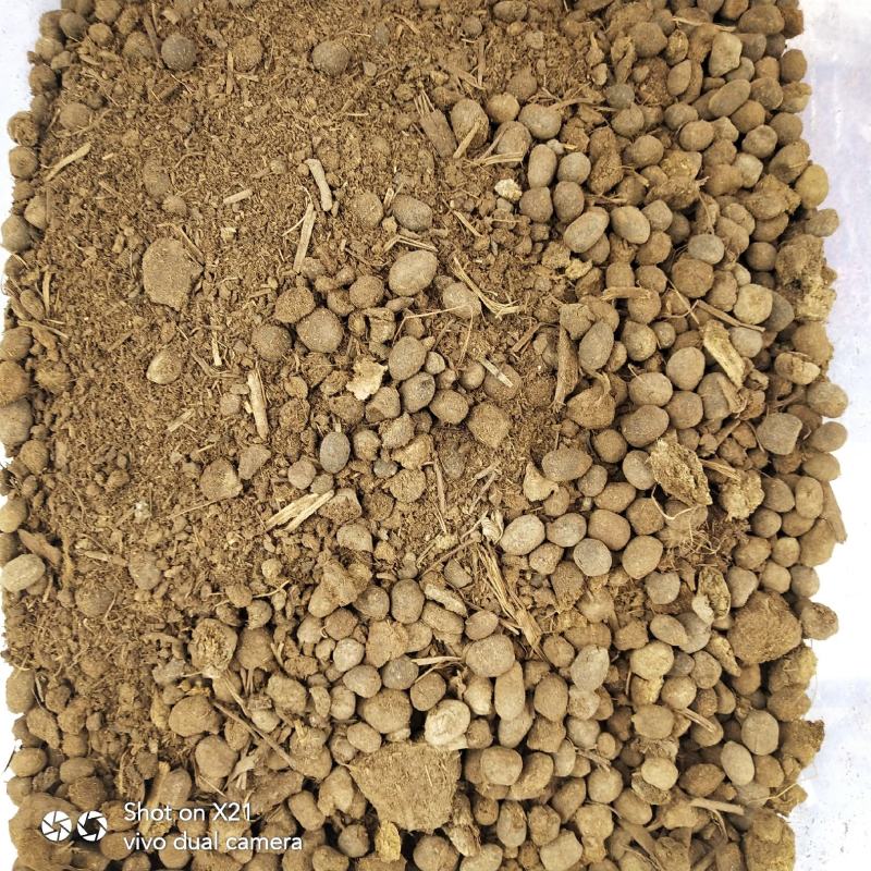 羊粪纯羊粪厂家直销招商开始欢迎实地考察参观