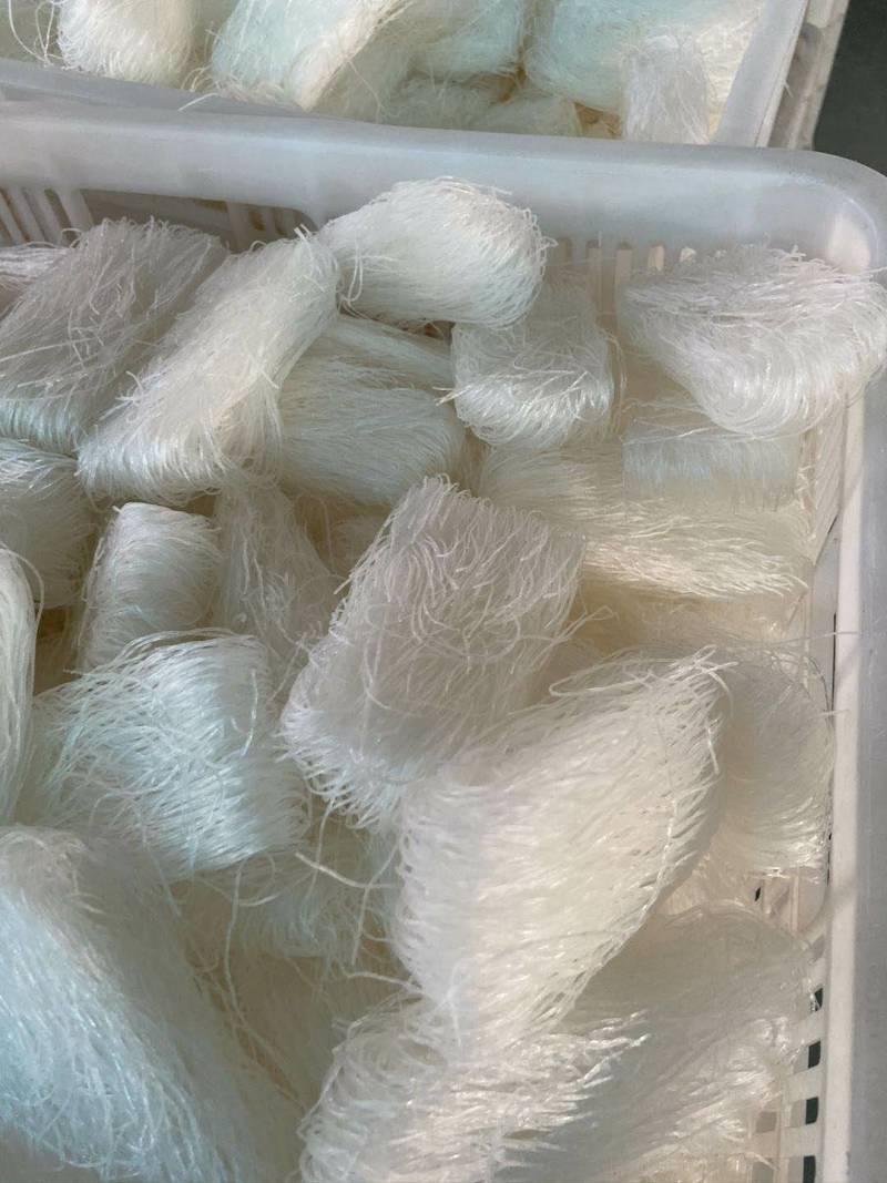 【社团直供】龙口粉丝厂家直供，质量保证，高品质