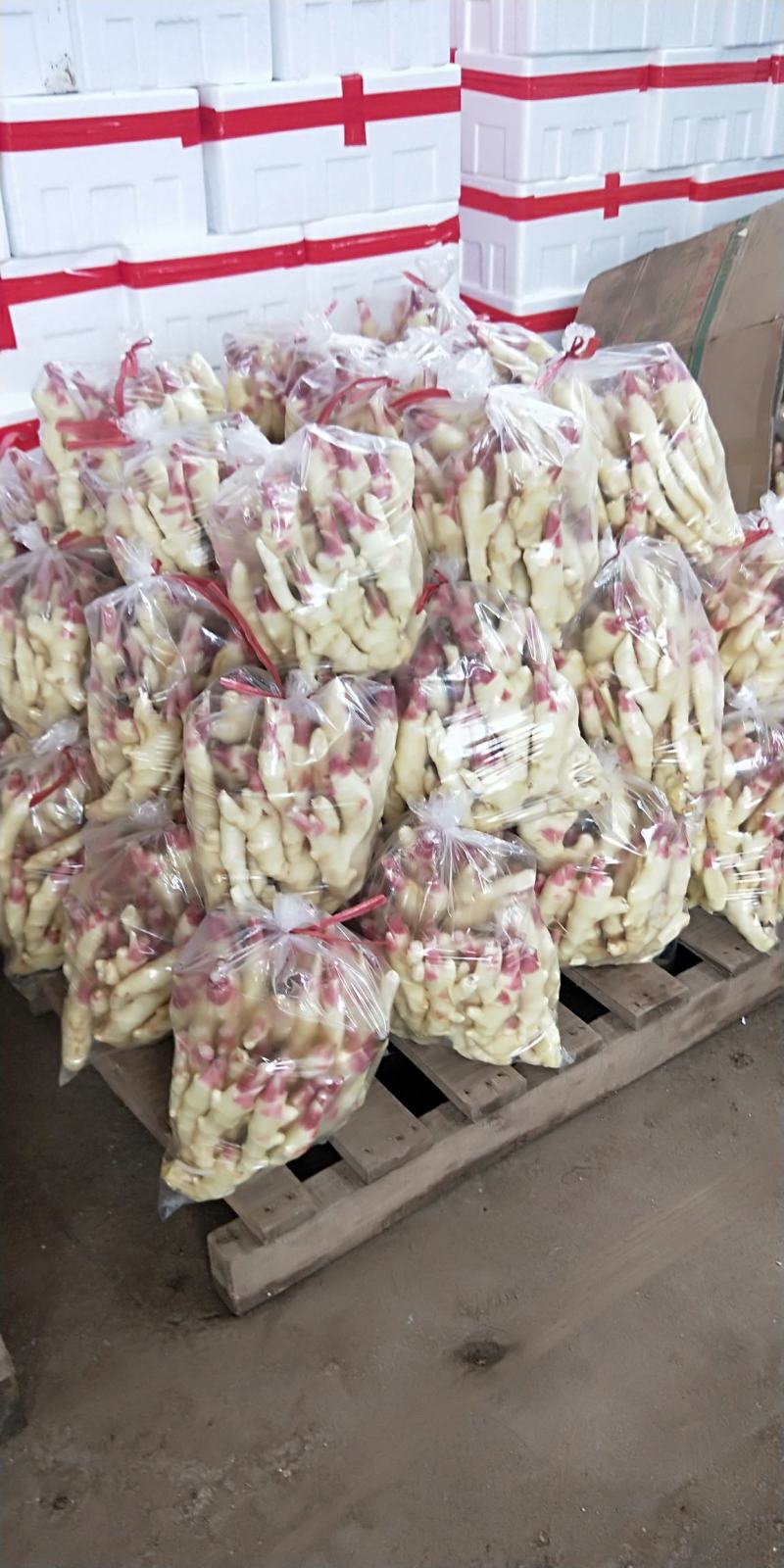 山东，潍坊市，安丘红牙鲜姜，优质红牙小姜，面姜