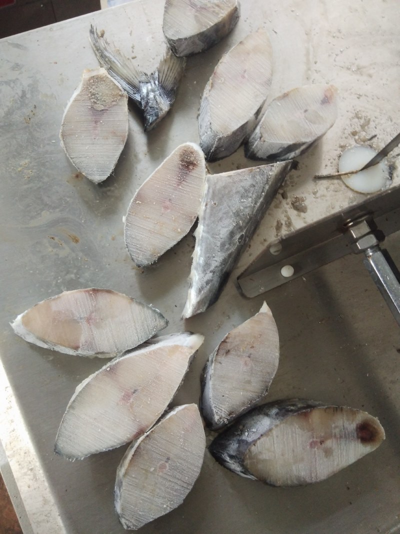 鲅鱼片马鲛鱼片深海马鲛鱼00000000