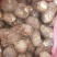 山东省，临沂市，优质毛芋头，豆包，各种毛芋头分，8520