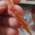 巴浪鱼干，新鲜自晒无添加淡干足干！以质量线下商品