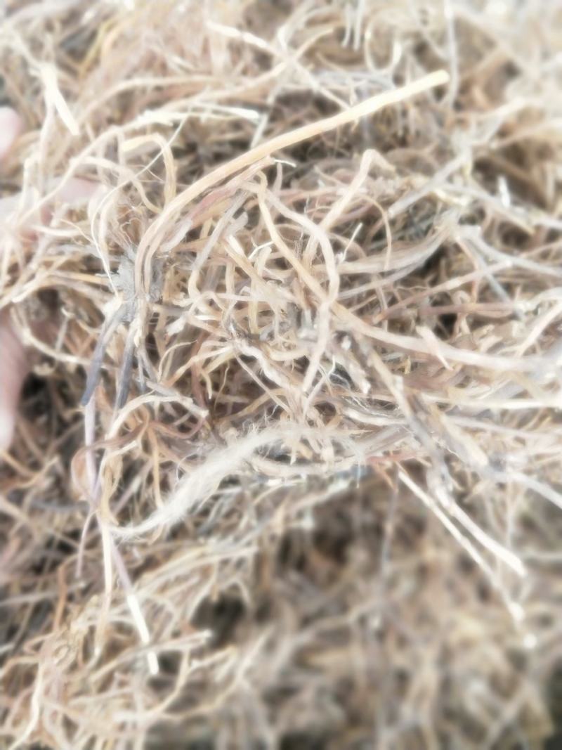 龙胆草根部新货无硫纯正品质量保证量大优惠