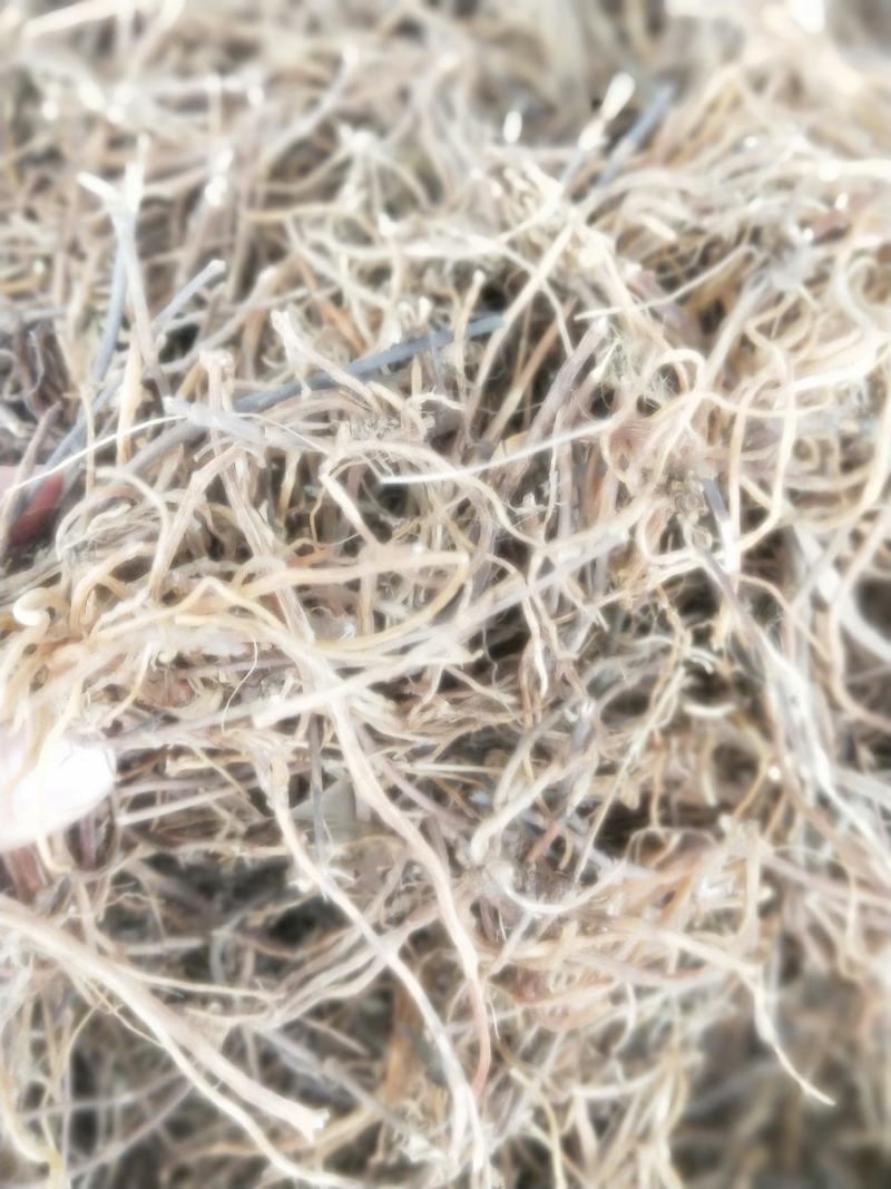 龙胆草根部新货无硫纯正品质量保证量大优惠
