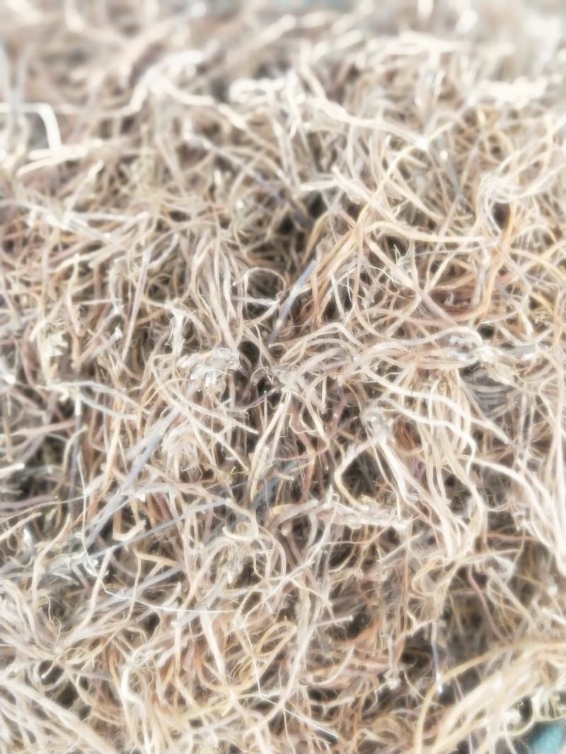 龙胆草根部新货无硫纯正品质量保证量大优惠