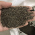 茺蔚子茺蔚籽保庆药业批发盗图必究实物拍摄！