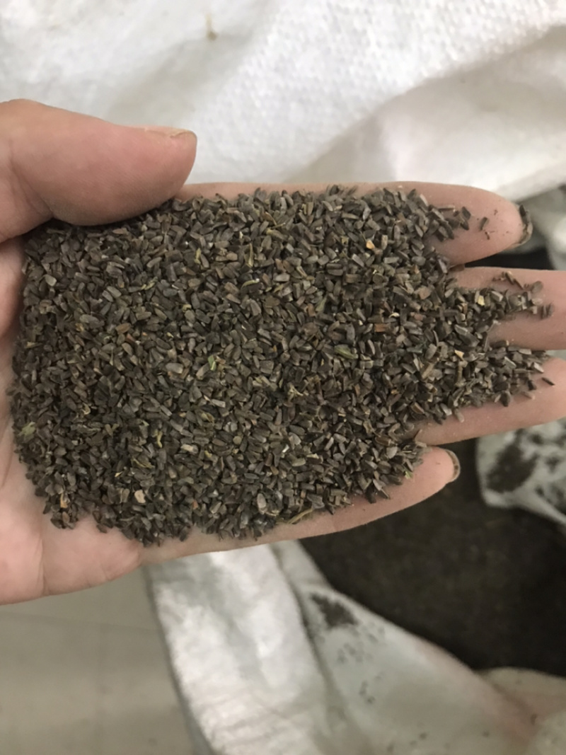 茺蔚子茺蔚籽保庆药业批发盗图必究实物拍摄！