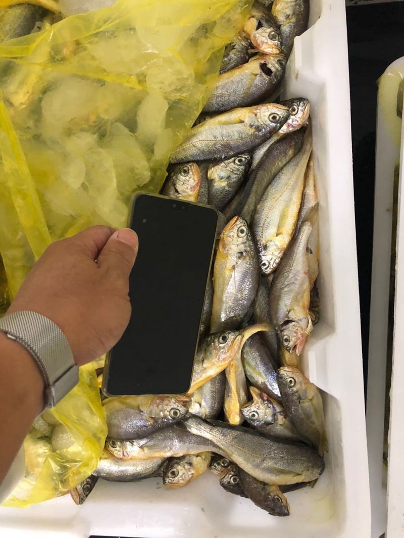 各种海鲜码头直供水产