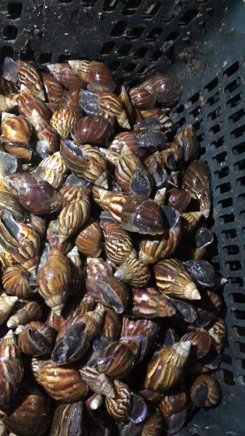 非常蜗牛🐌欢迎来店咨询