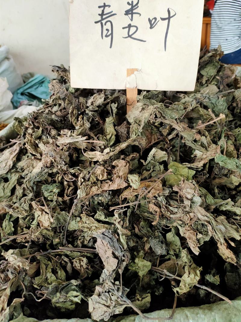 野生假蒌，青蒌叶，蛤篓，假蒟，