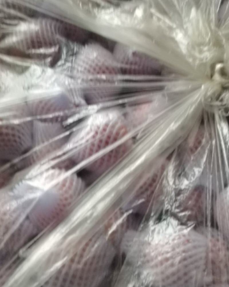 金土地苹果合作社红富士苹果