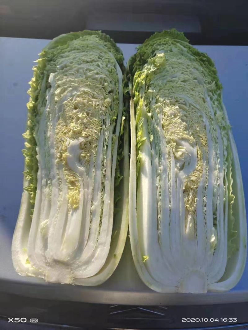 北京新三号供应量大，供应期长