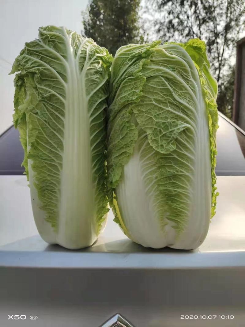 北京新三号供应量大，供应期长