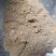 猪胆粉浙江干货散装1斤起包邮量大从优