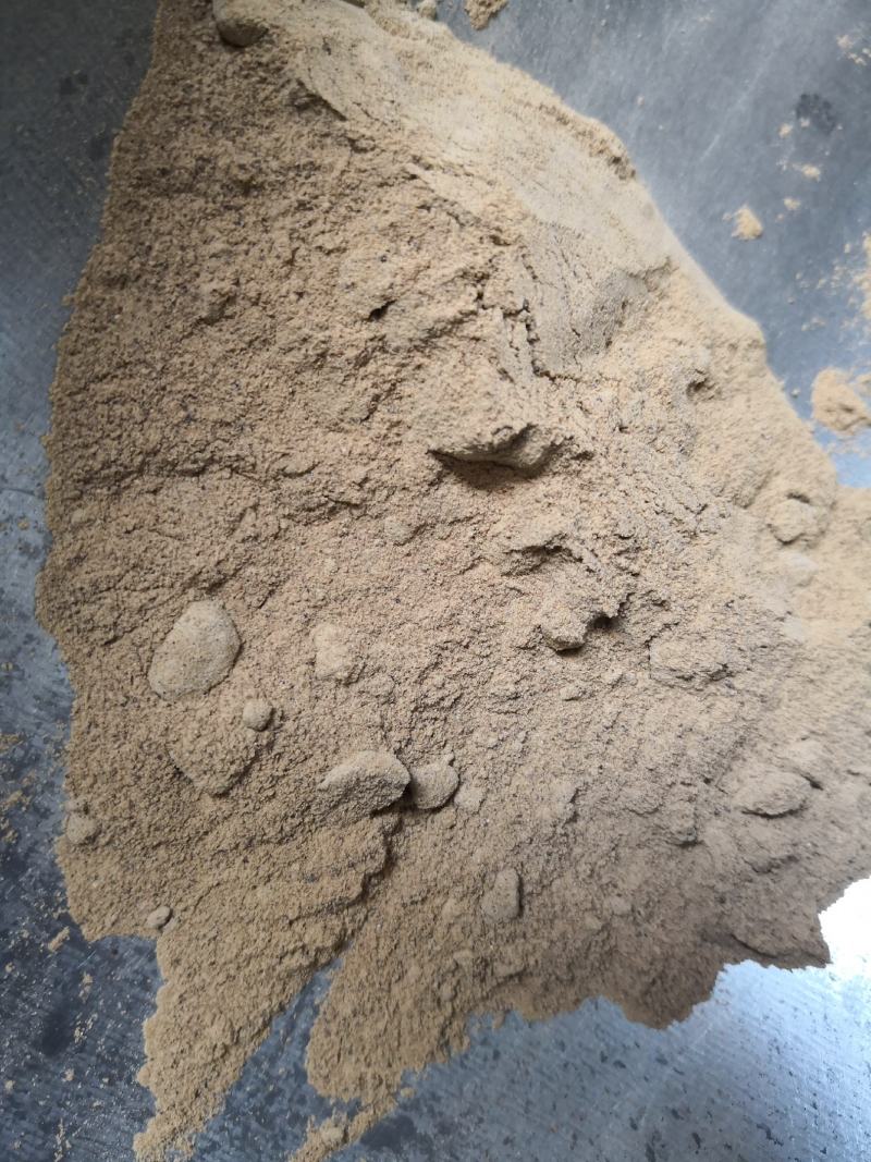 猪胆粉浙江干货散装1斤起包邮量大从优