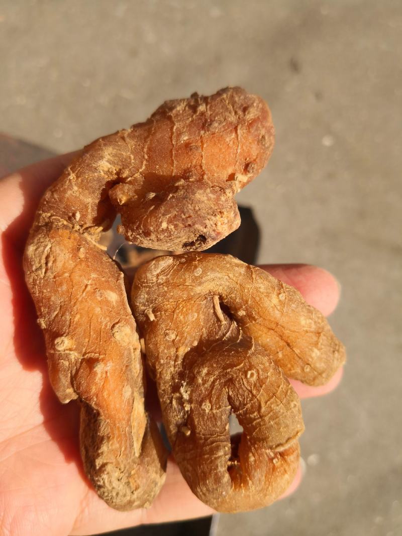 黄精干货个子2斤起包邮量大从优