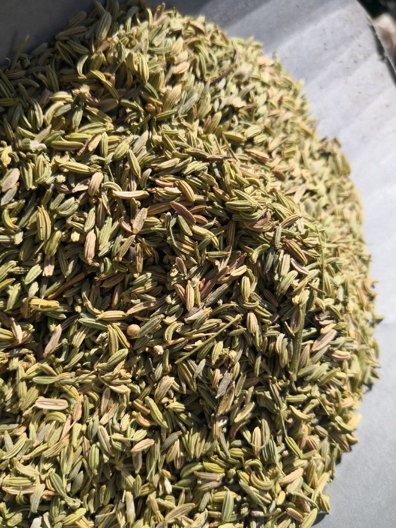 小茴香内蒙干货选货调料中药材量大从优