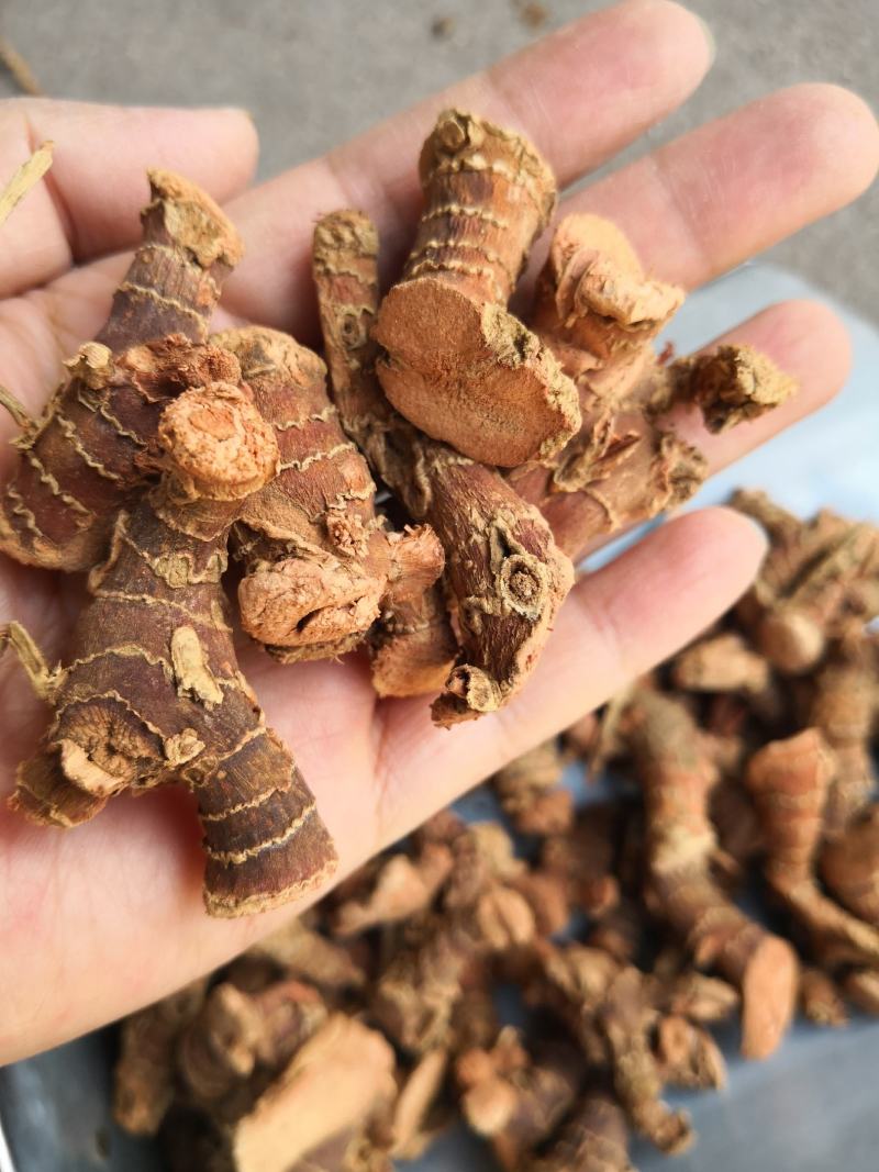 良姜各种规格2斤起包邮各种规格量大从优