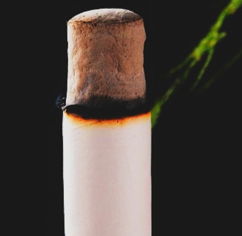 艾条，艾柱，三年陈艾，𠂆家直销，量大从优