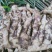 头茬生地，高品质大姜种……