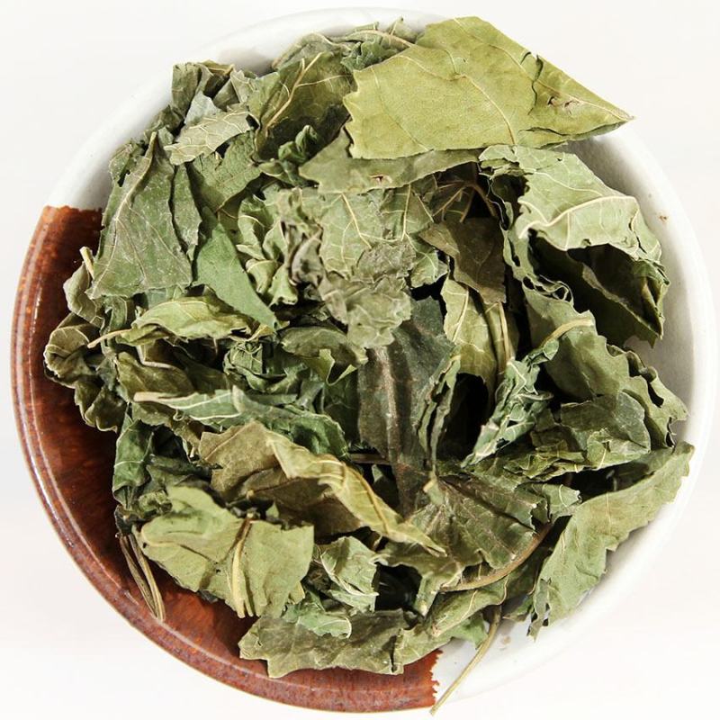 桑叶干货人工种植农家自然晾晒量大从优