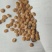 白蛋茄种子鸡蛋茄籽茄袖珍茄种茄子蔬菜籽孑白灌茄