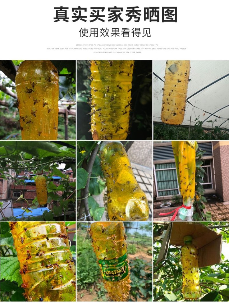 [一件代发]瓜果实蝇针蜂诱粘剂昆虫诱捕剂杀果蝇药粘胶诱黏