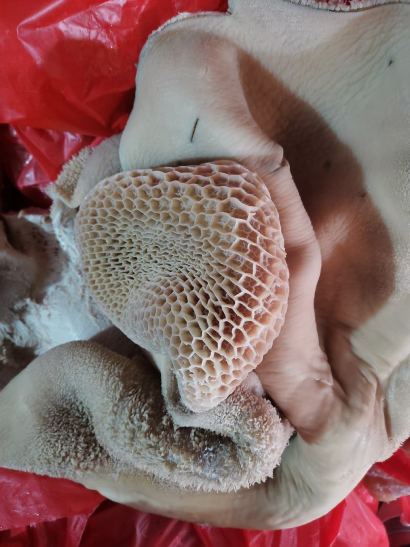 牛羊肉，牛羊杂，生鲜和半成品，7到9分熟，各种规格都有