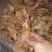 牛羊肉，牛羊杂，生鲜和半成品，7到9分熟，各种规格都有
