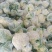 【推荐】松花散花有机花青梗松花菜大量供应全国发货