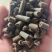 营养土花卉园艺/多肉植物土大棚蔬菜用土多种用途营养土