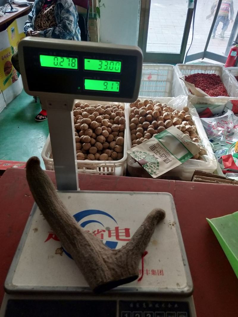 新疆塔河马鹿干鹿茸278克