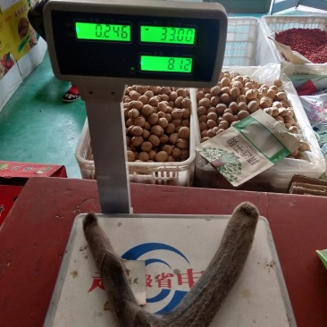 新疆塔河马鹿鹿茸246克