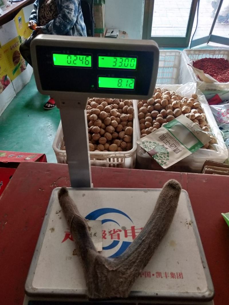 新疆塔河马鹿鹿茸246克