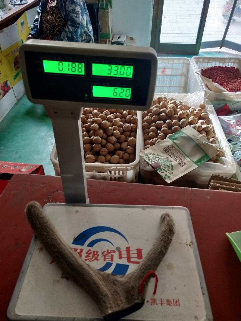 新疆塔河马鹿鹿茸188克