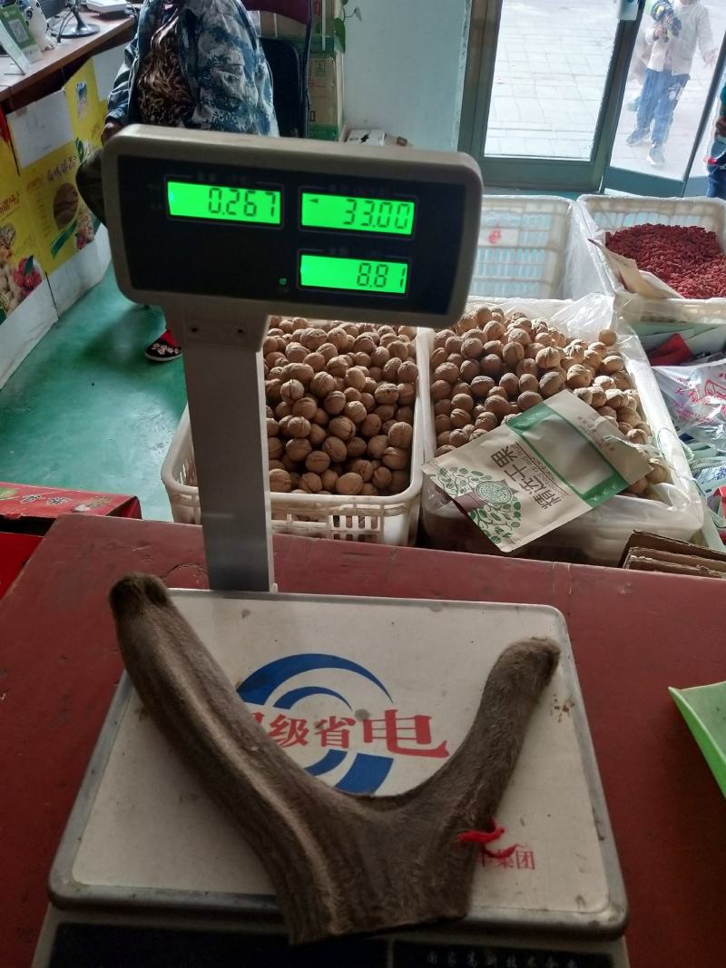 新疆塔河马鹿鹿茸267克