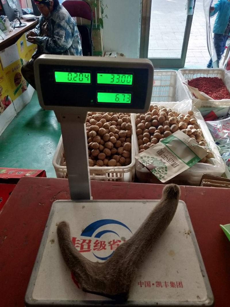 新疆塔河马鹿鹿茸204克