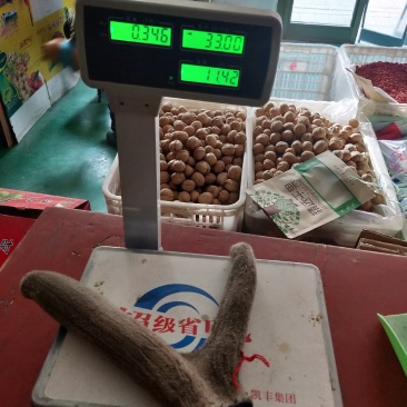 新疆塔河马鹿干鹿茸346克